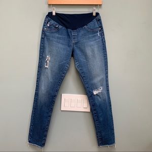 AG Adriano Goldschmied Blue Skinny Jeans